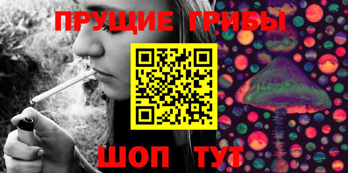 Галлюциногенные грибы Psilocybe  Вход с VPN  Алейск 