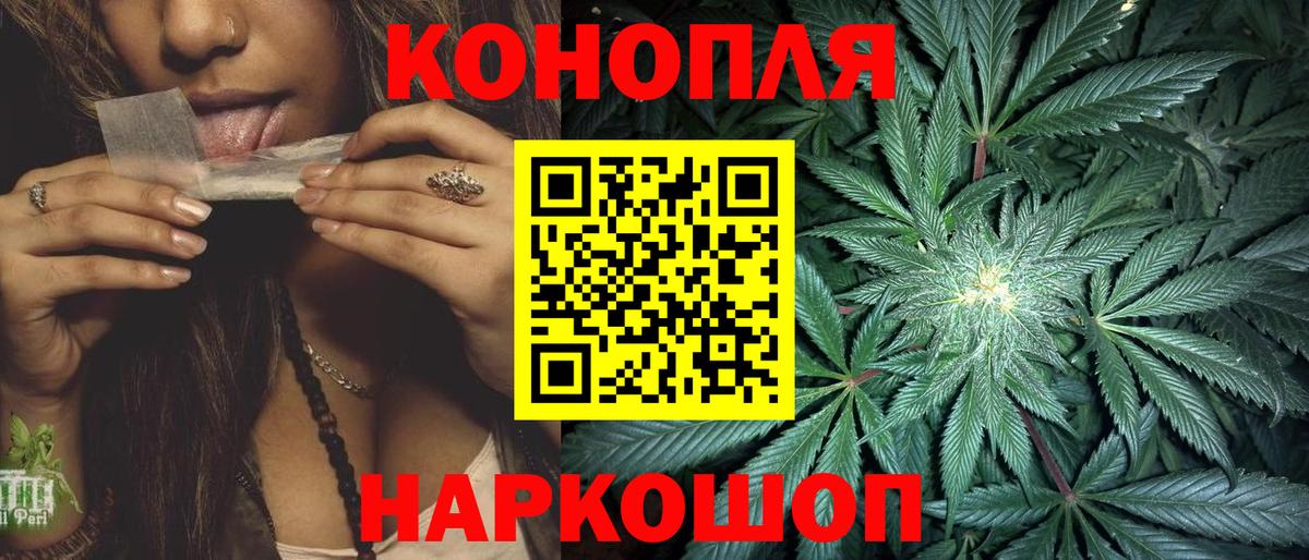 Конопля ГИДРОПОН  Вход с VPN  Бошки марихуана THC 21%  Конопля ГИДРОПОН  Алейск 